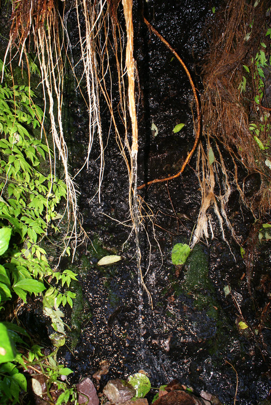 DSC04788.JPG