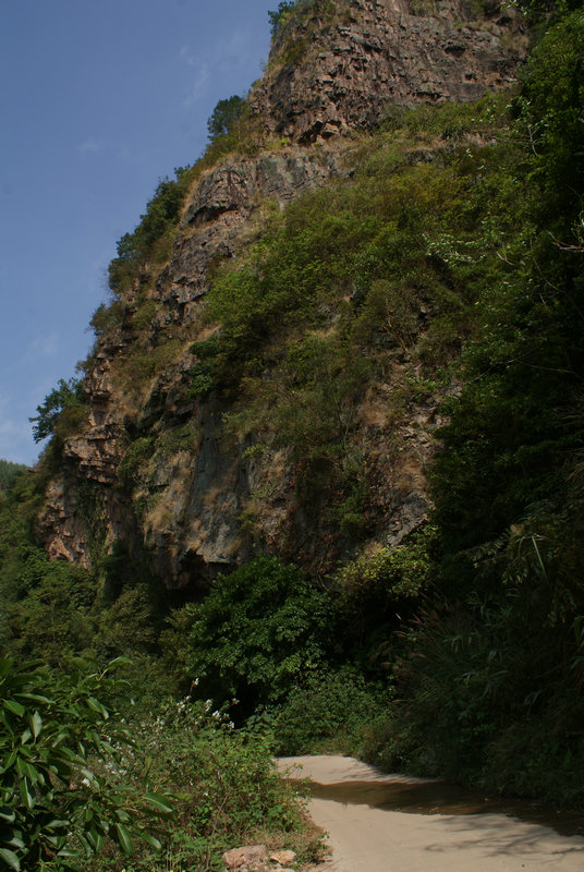 DSC04774.jpg