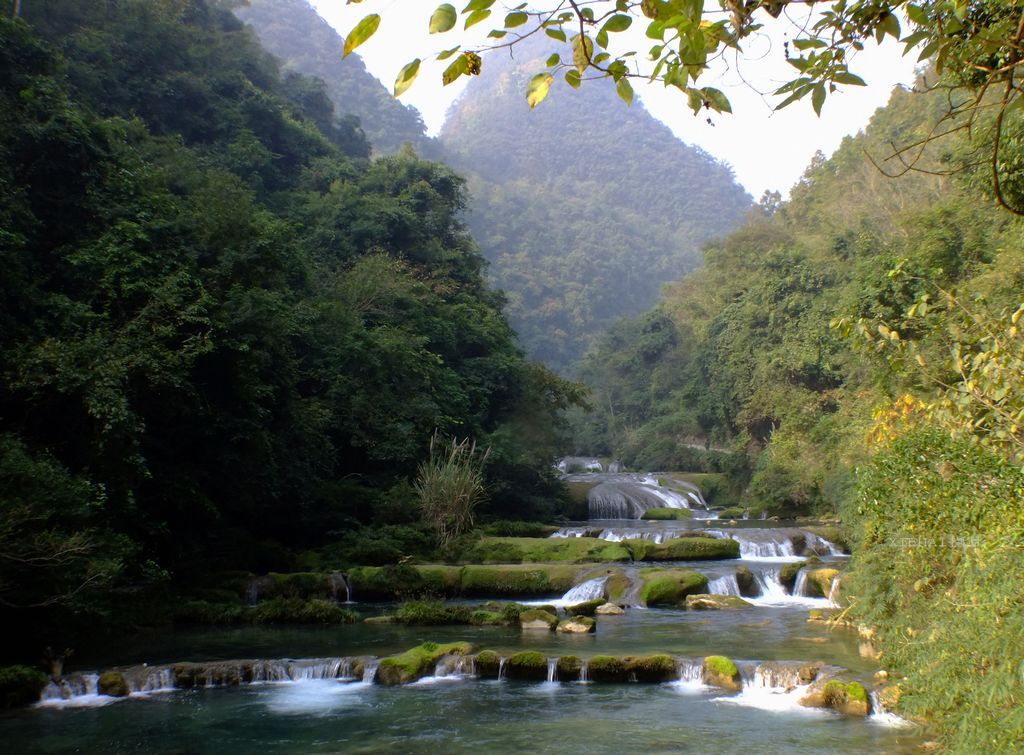 DSCF1207.jpg