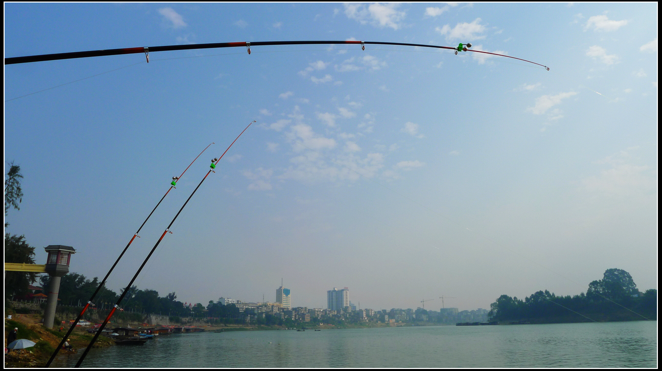 L1210235.jpg