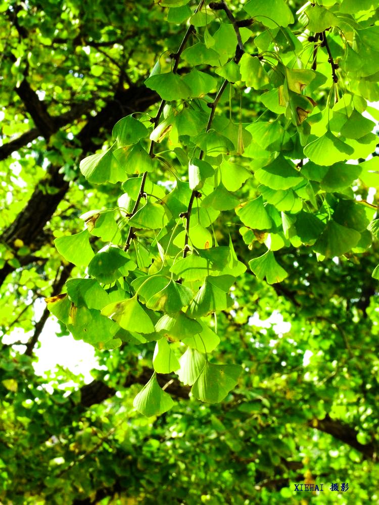 nEO_IMG_DSCF1422.jpg