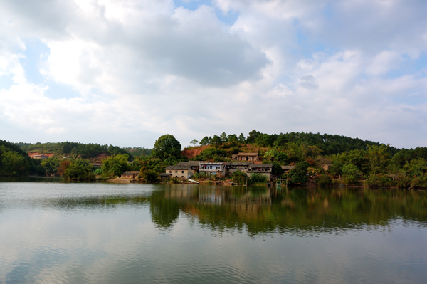 95.jpg