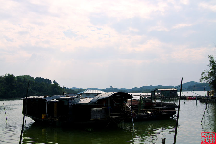 IMG_4169.jpg