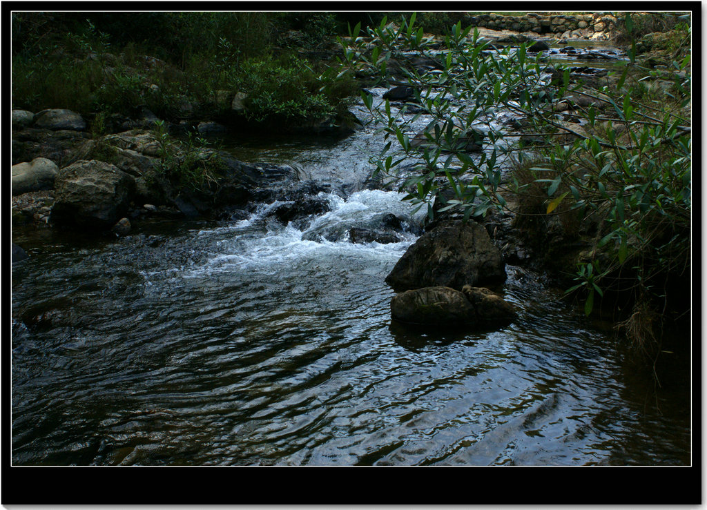 DSC05702.JPG