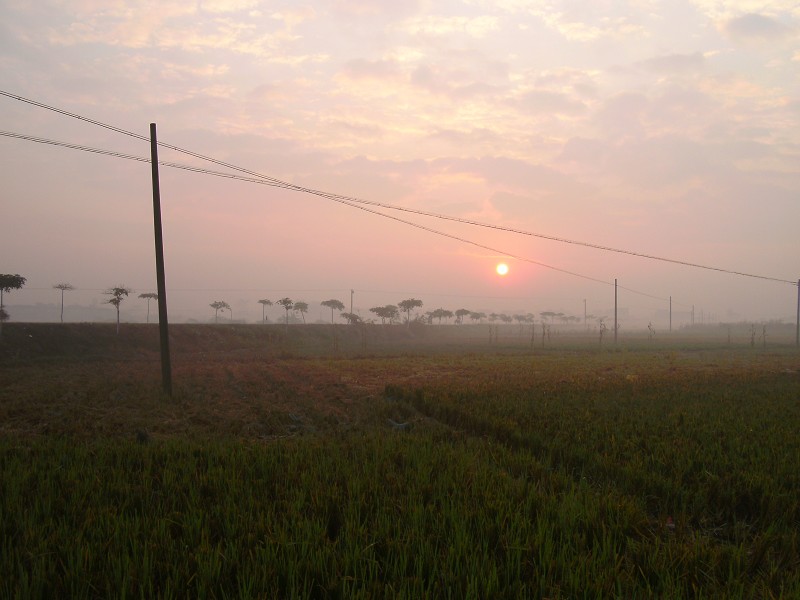 DSCK3053.JPG