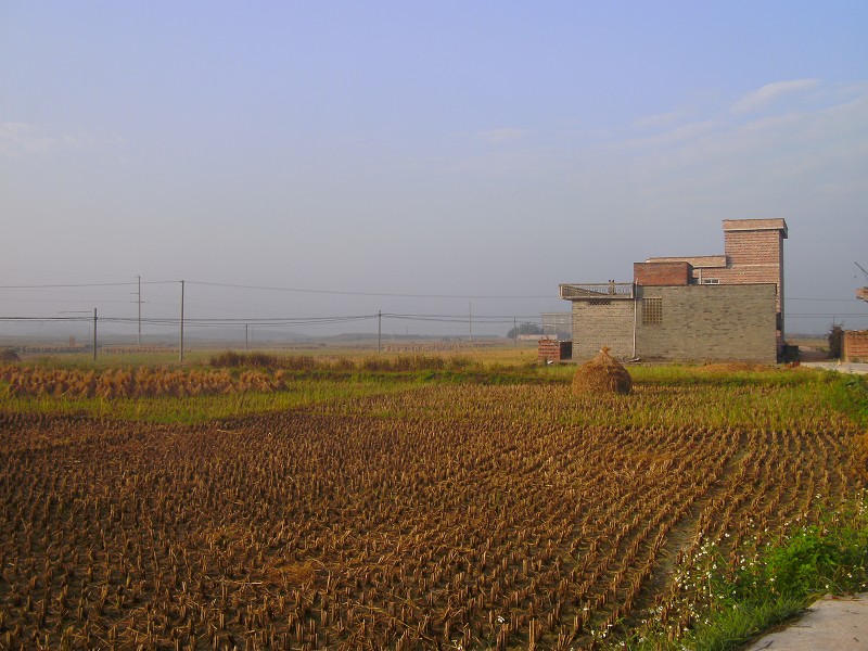 DSCK3067.JPG