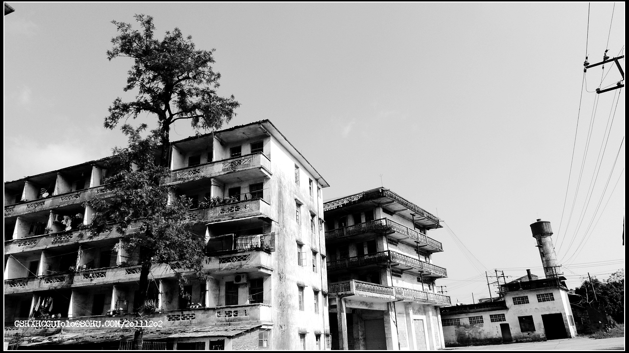 L1220513.jpg