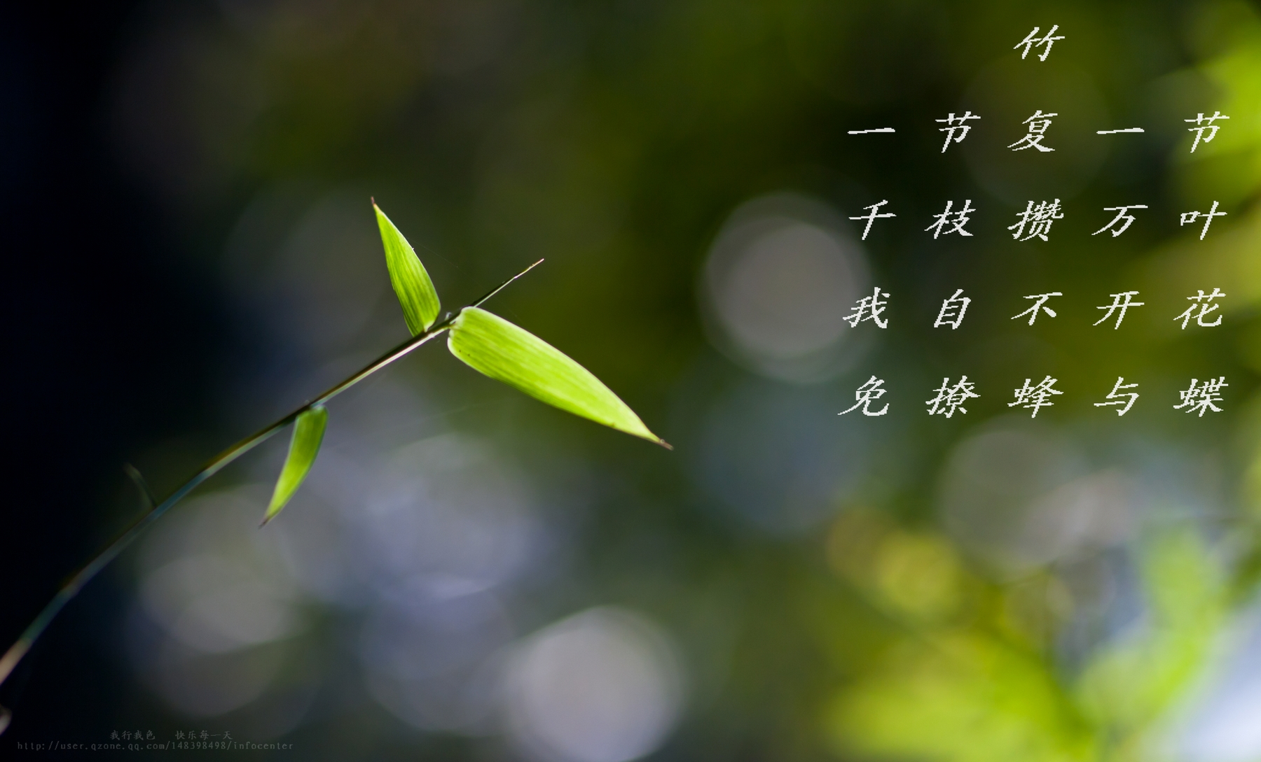 _MG_1163.jpg