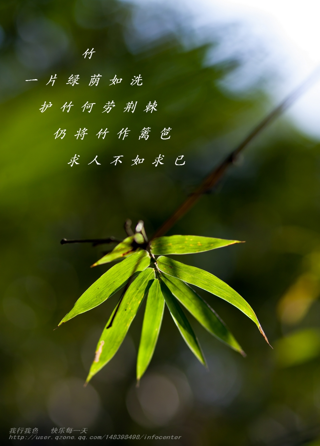 _MG_1168.jpg