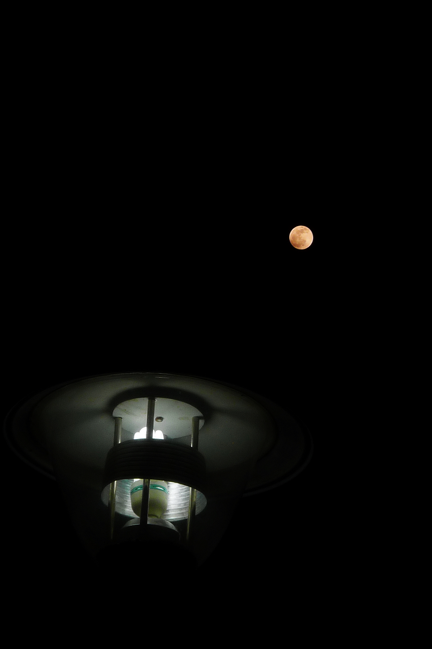 L1230894.jpg