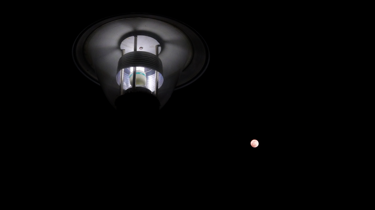 L1230902.jpg