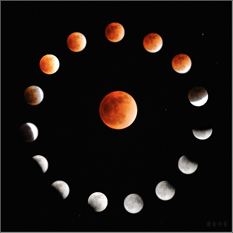 2815875667030541205.jpg
