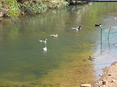 DSC01069_副本.jpg