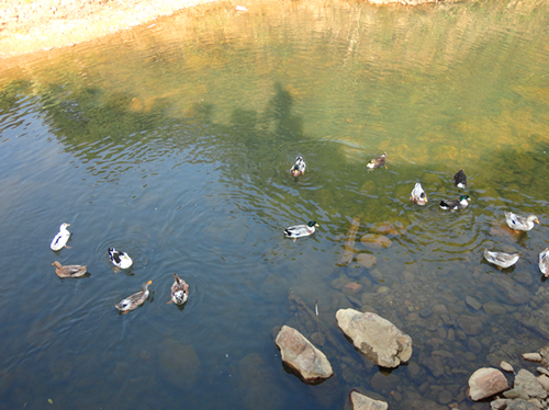 DSC01081_副本.jpg