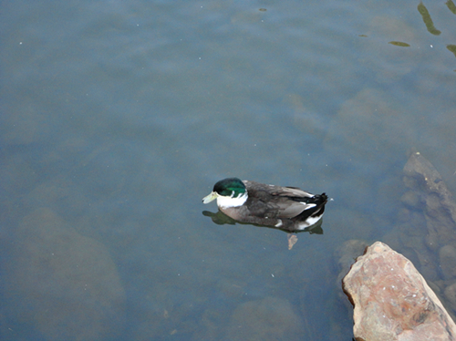 DSC01085_副本.jpg