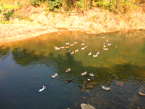 DSC01088_副本.jpg