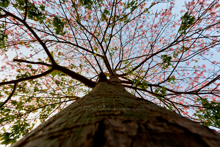 _MG_1508.jpg