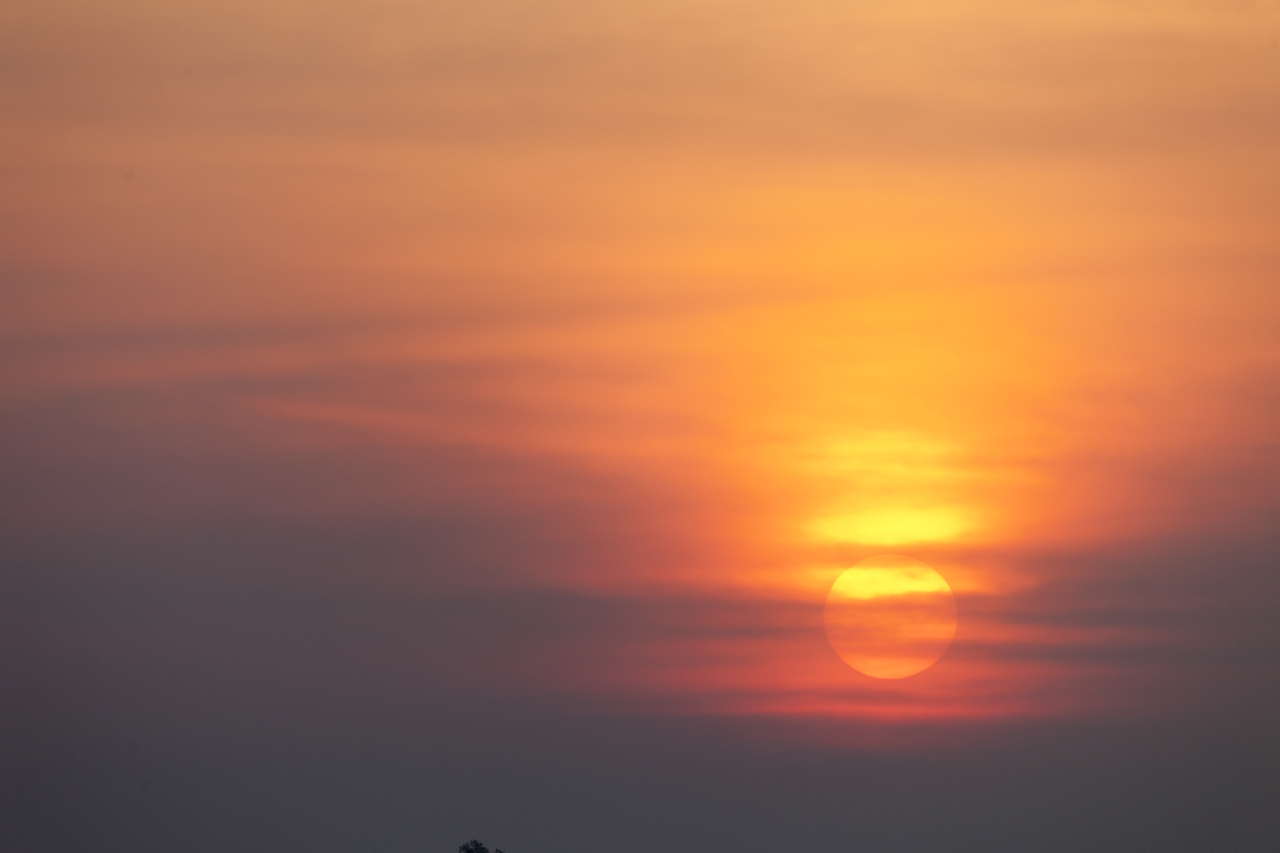 MG_9317.jpg