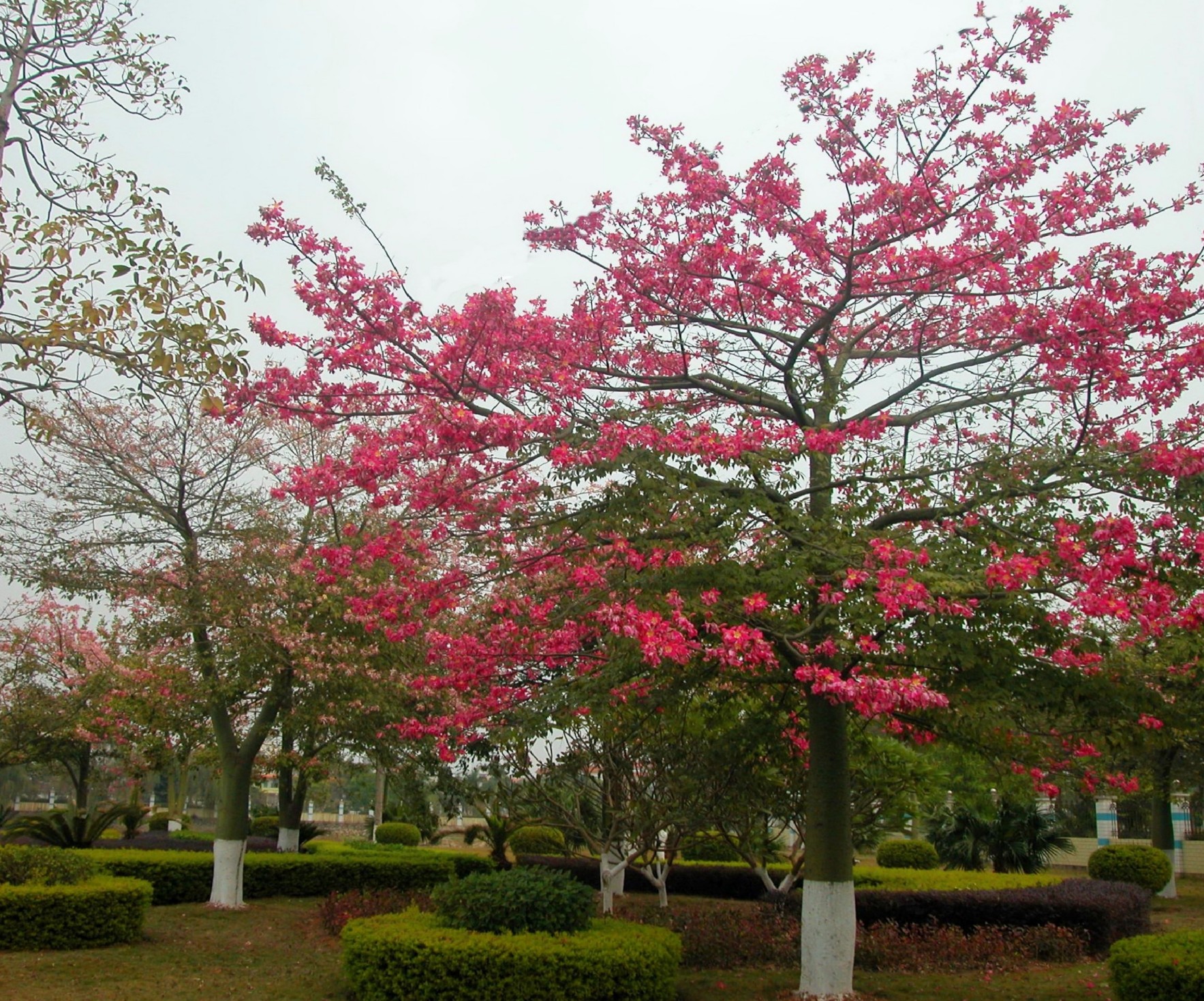 DSCN0022_conew4.jpg