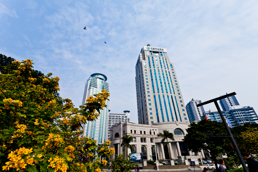 _MG_9022.jpg