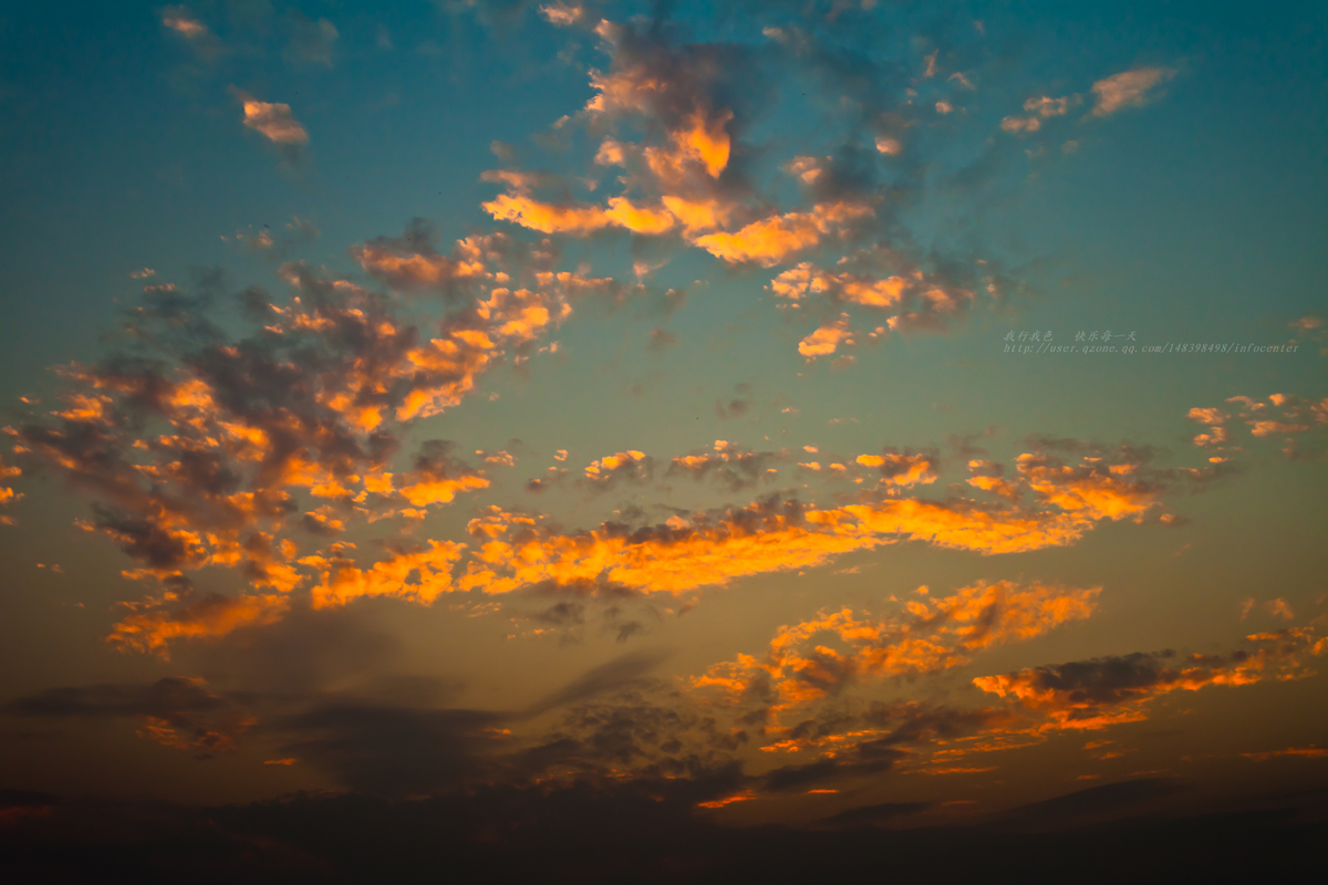 _MG_1688.jpg
