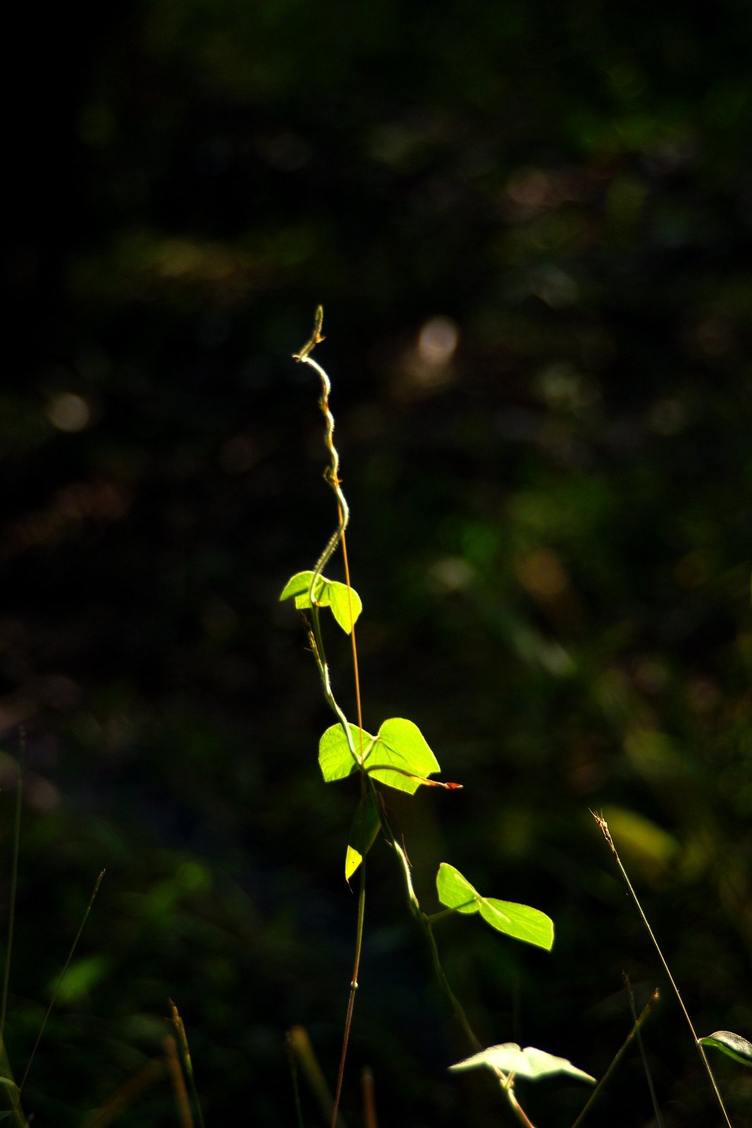 DSC07626.JPG