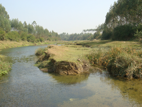 DSC09152_副本.jpg