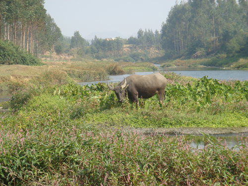 DSC09155_副本.jpg