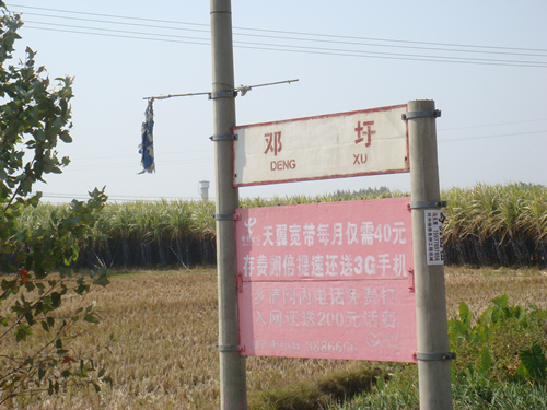 DSC09165_副本.jpg
