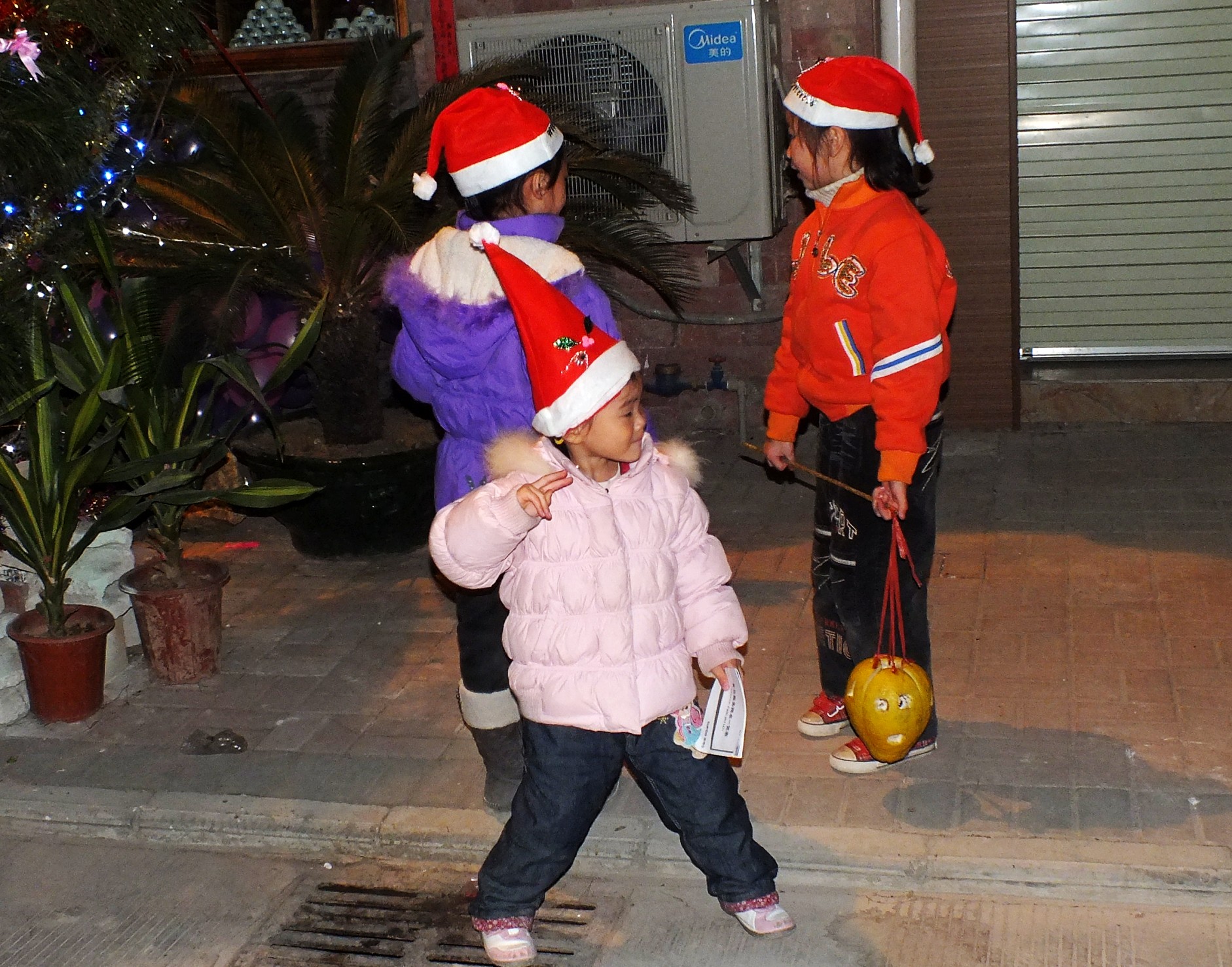 DSCF6879_conew1.jpg