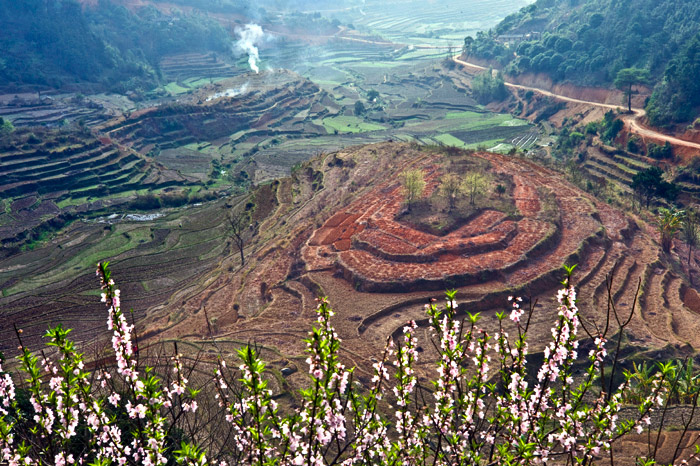 2011年2月春暖花开.jpg
