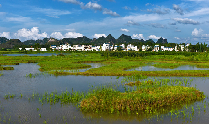 2011年7月新仲村.jpg