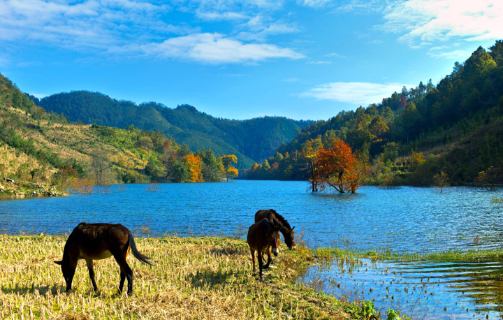 2011年12月美丽上岗水库.jpg