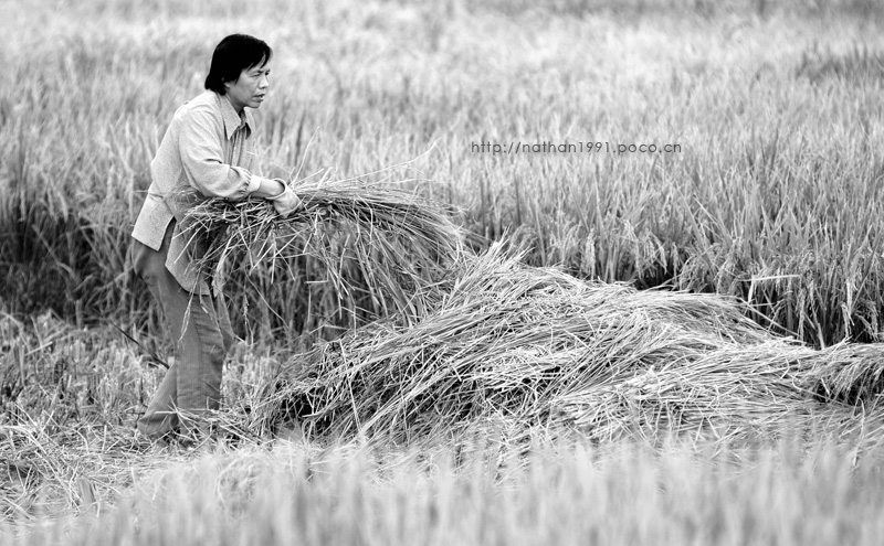 D30_6323.jpg