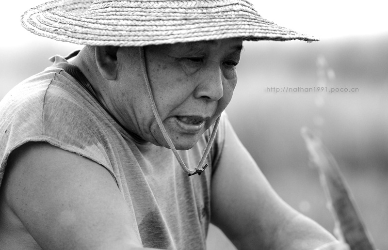 D30_6377.jpg