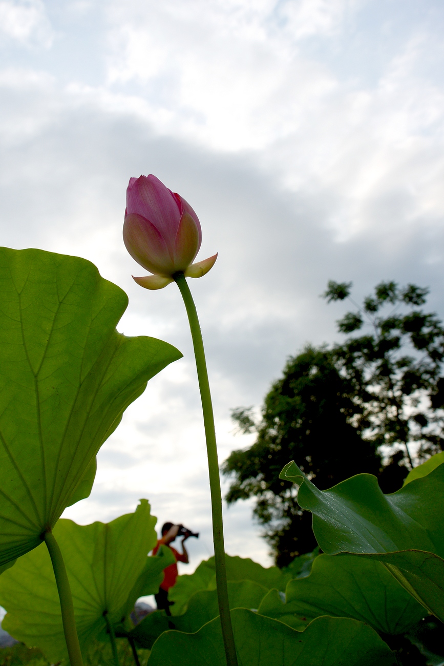 DSC02389.JPG