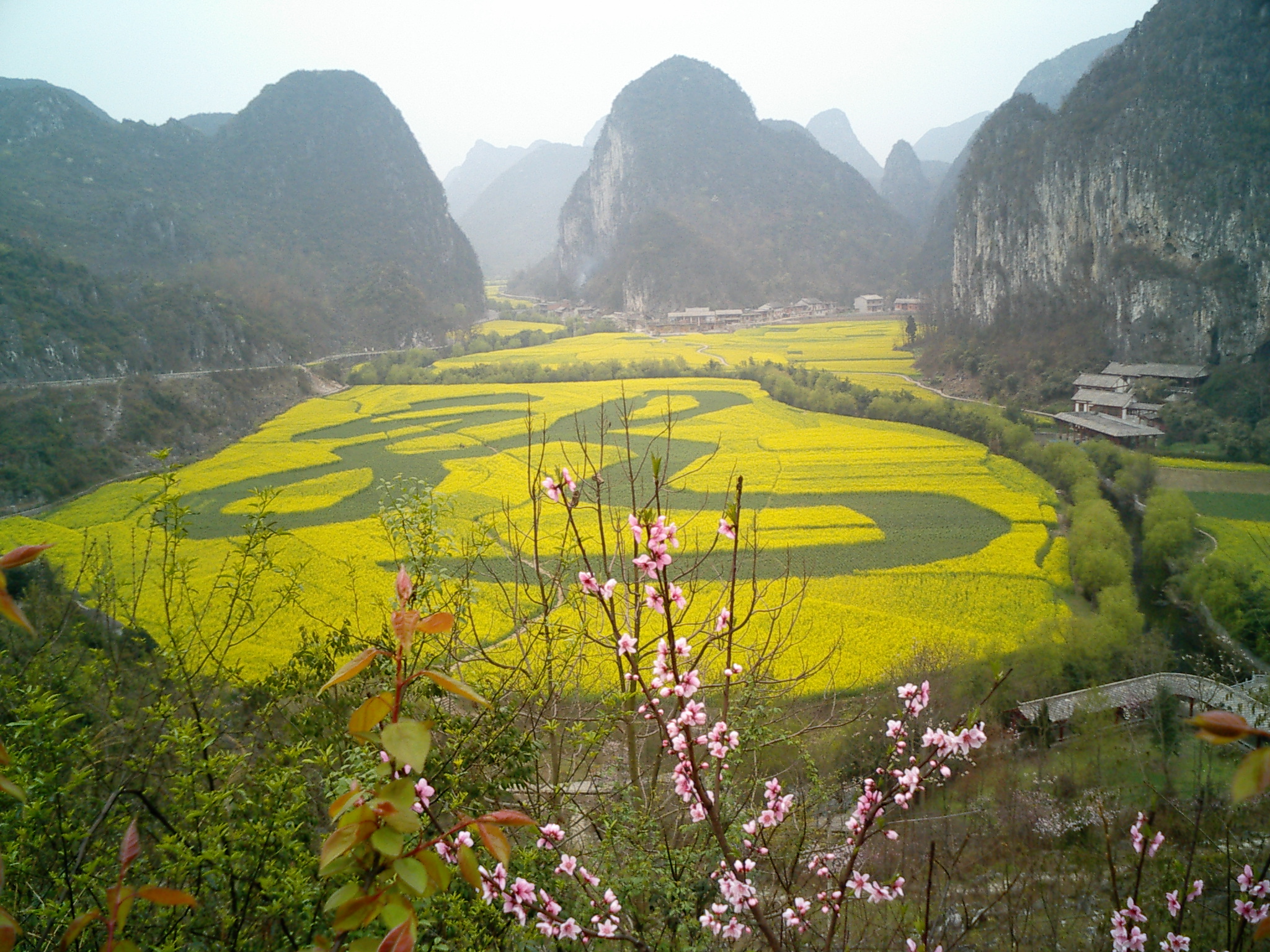 CA250472.JPG
