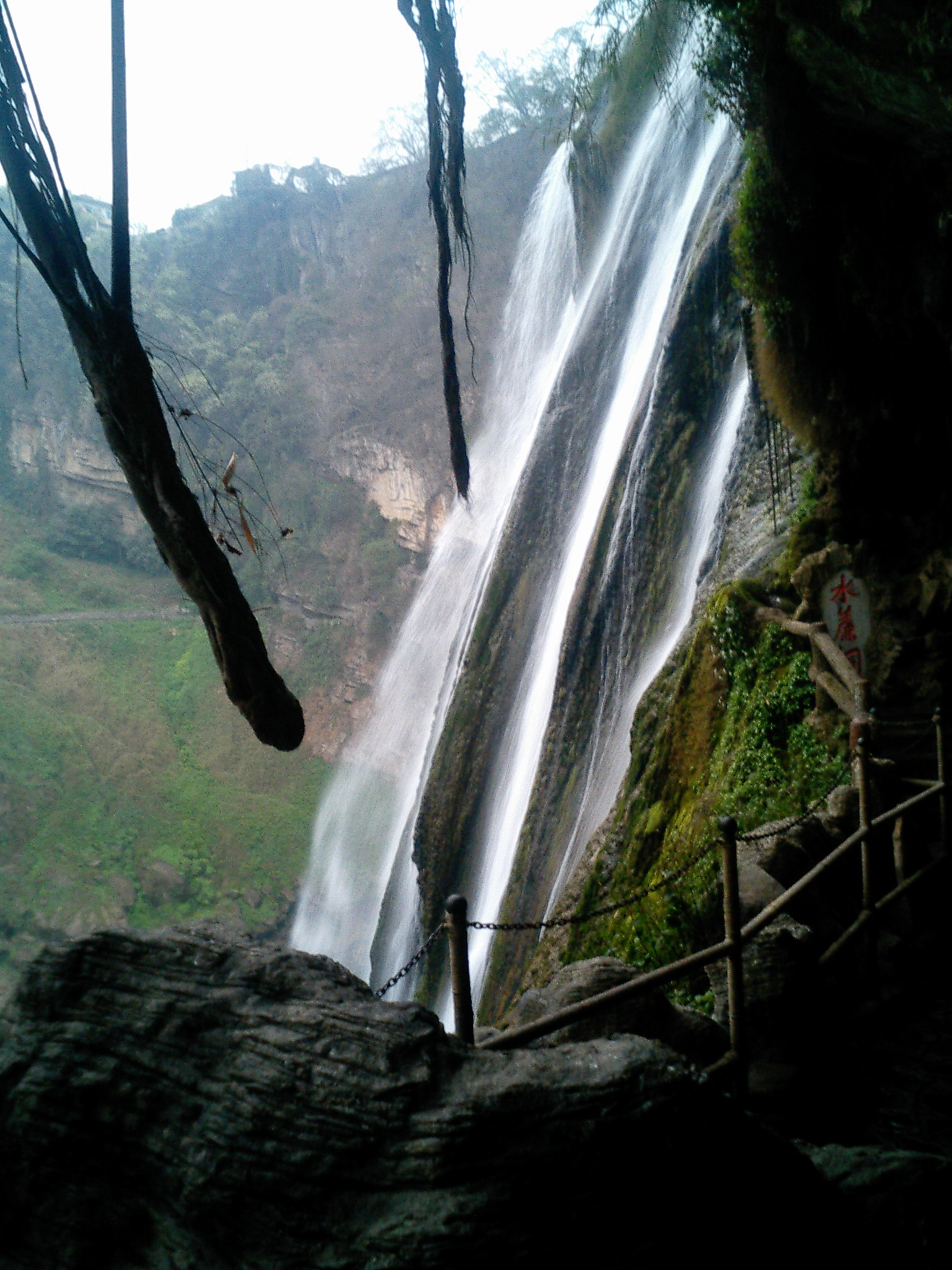 CA250590.JPG