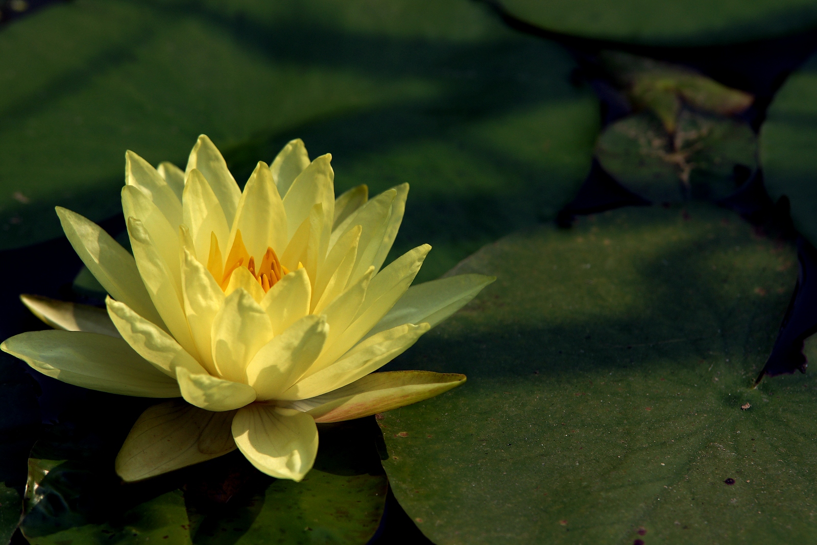 DSC00829.JPG