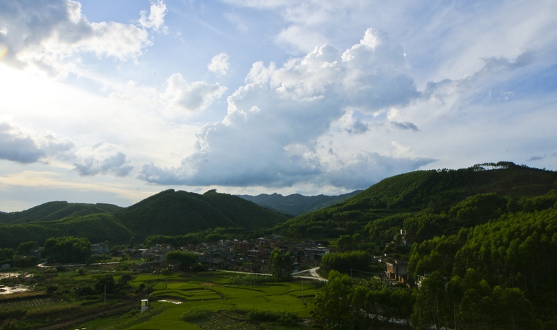 DSC05310.jpg