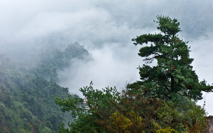 走进大瑶山-4.jpg