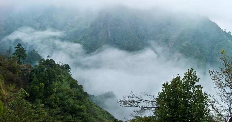 走进大瑶山-3.jpg