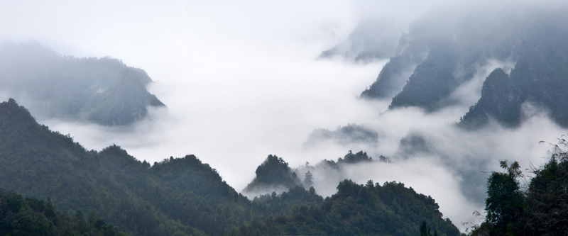 走进大瑶山-2.jpg