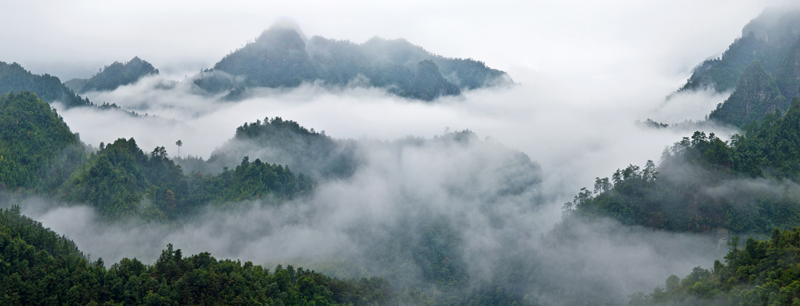 走进大瑶山-1.jpg
