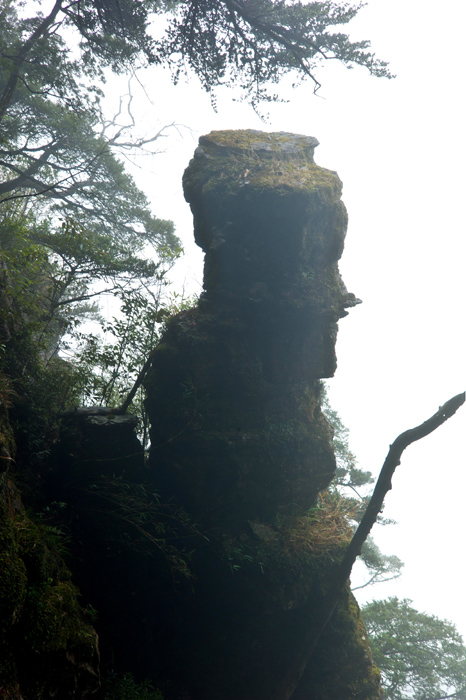 走进大瑶山-12.jpg