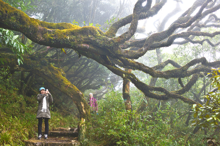走进大瑶山-8.jpg