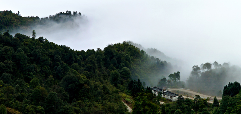 走进大瑶山-7.jpg