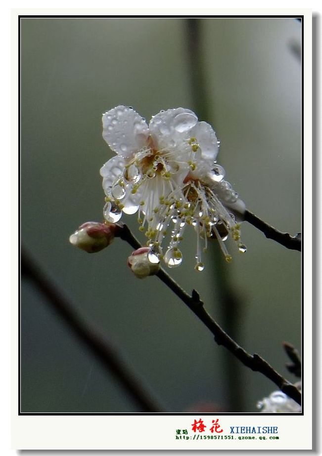 DSCF2885.jpg