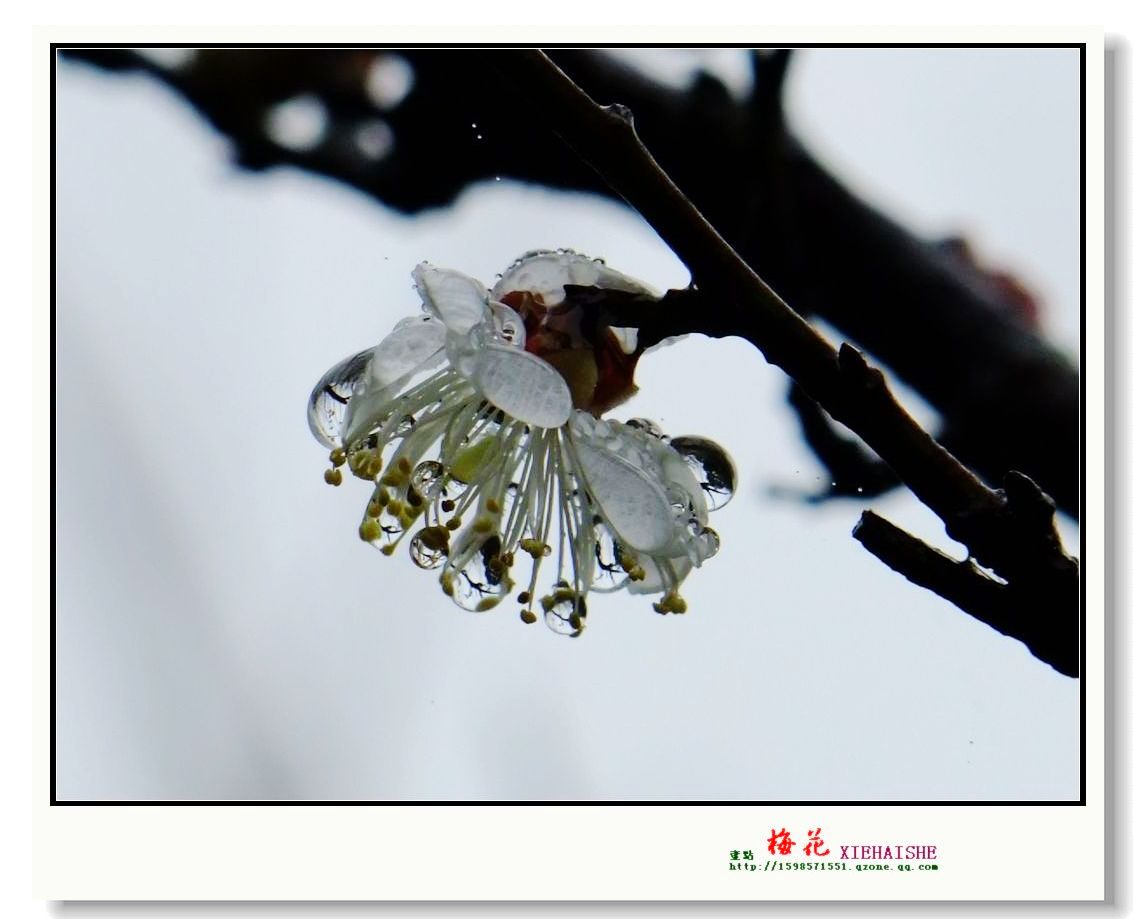 DSCF2910.jpg