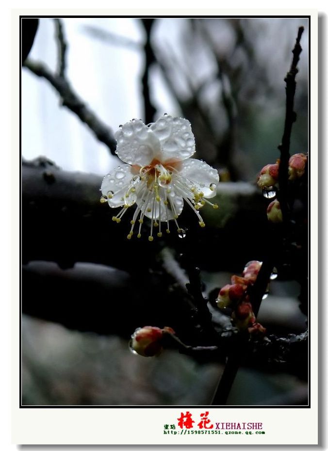 DSCF2941.jpg
